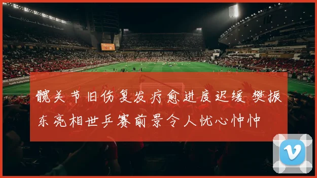 髋关节旧伤复发疗愈进度迟缓 樊振东亮相世乒赛前景令人忧心忡忡