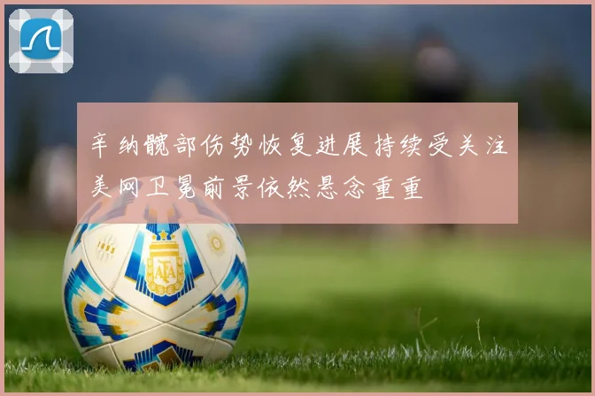 辛纳髋部伤势恢复进展持续受关注美网卫冕前景依然悬念重重